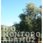 DOP Montoro-Adamuz